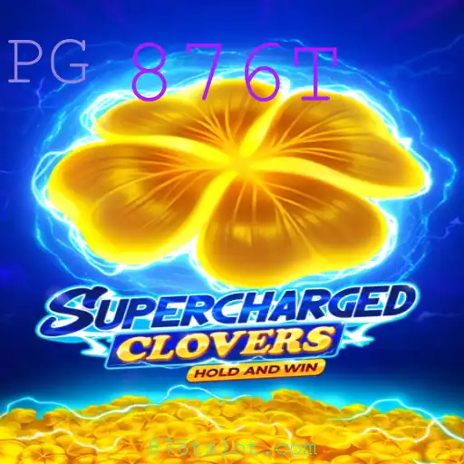 876T Casino App